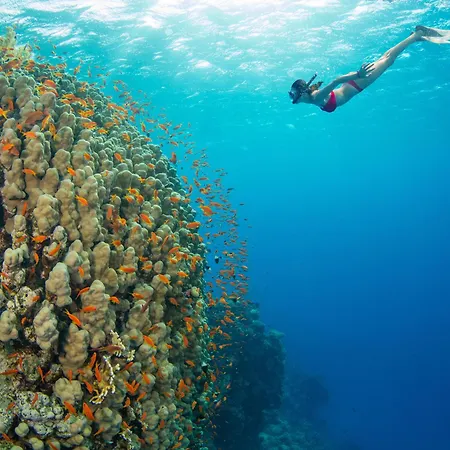 Kahana Reef 111